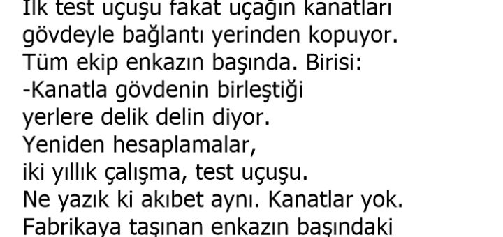 Delik Delin Kardeşim