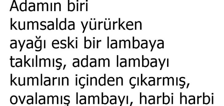Köprü Kaç Şerit Olsun