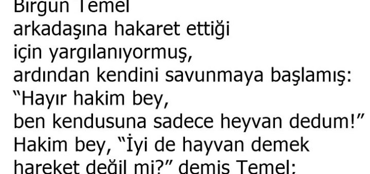 Sadece Hayvan