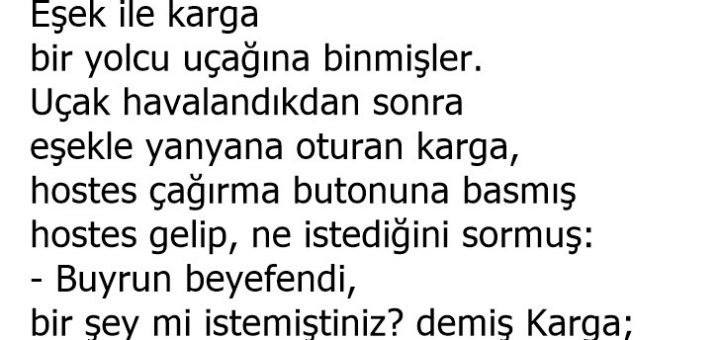 Uçmayı Bilmiyorsun