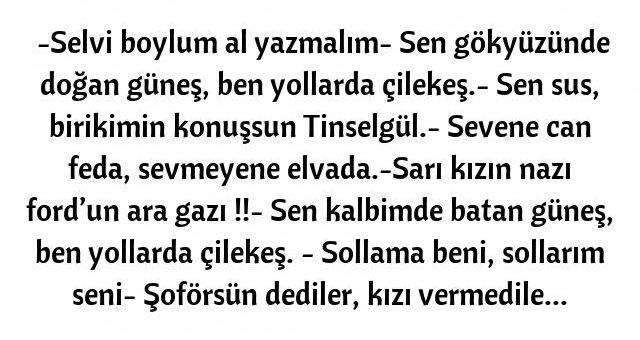 Kamyoncu yazıları